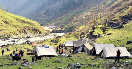 Camping in Solang Valley Manali