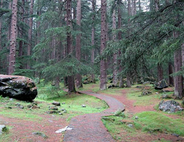 The Great Himalayan National Park